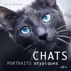 Chats, portraits atypiques