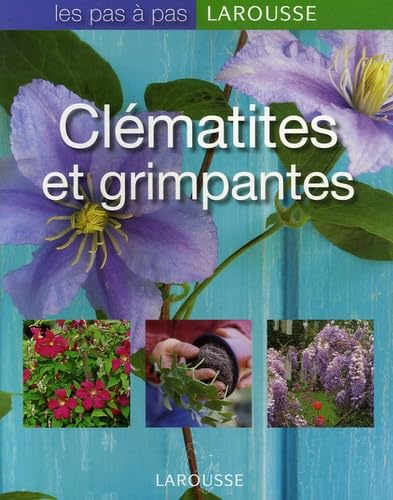 Clématites et grimpantes