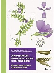 Connaissances botaniques de base en un coup d'oeil