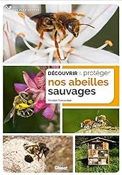 Découvrir et protéger nos abeilles sauvages
