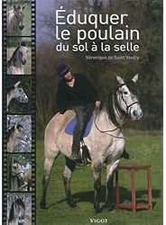 Éduquer le poulain du sol à la selle