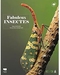 Fabuleux insectes
