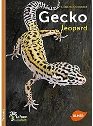Gecko léopard