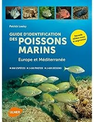Guide d'identification des poissons marins