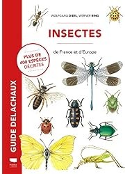 Insectes de France et d'Europe