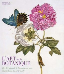 L'art de la botanique - Des herbiers de la Renaissance aux illustrations du XIXe siècle