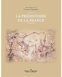 La préhistoire de la France