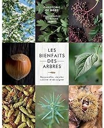 Les bienfaits des arbres : Reconnaître, récolter, cuisiner et se soigner