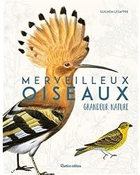 Merveilleux oiseaux grandeur nature