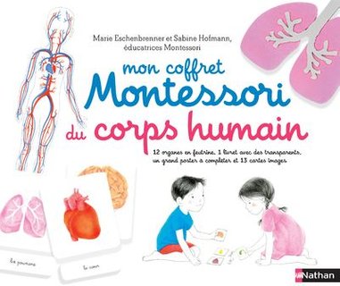 Mon coffret Montessori du corps humain : Avec 12 organes en feutrine, 1 livret avec 4 transparents, 13 cartes et 1 poster à compléter