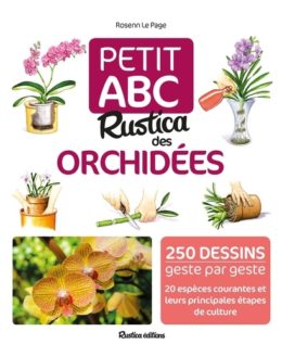 Petit ABC Rustica des orchidées