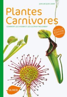 Plantes carnivores comment les choisir et les cultiver facilement