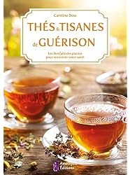 Thés et tisanes de guérison : Les bienfaits des plantes pour entretenir votre santé