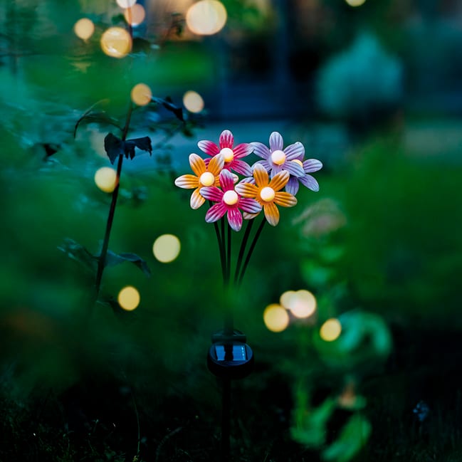 Bouquet de fleurs solaire à planter