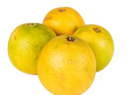 Citron doux