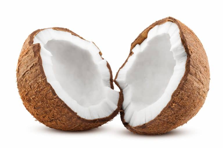 Noix de coco Conservation Nature