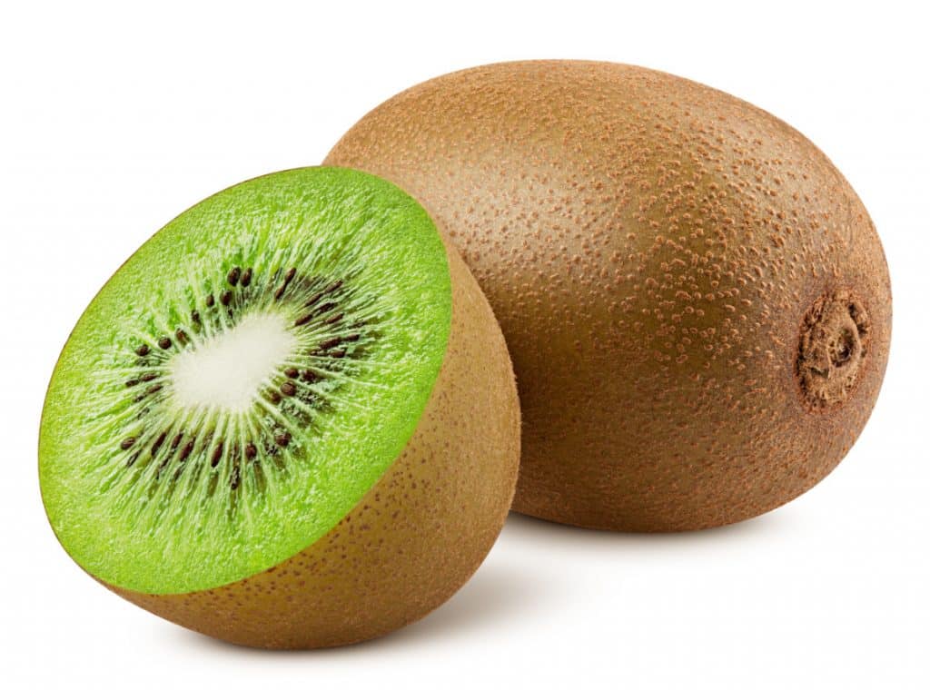 Kiwi Conservation Nature